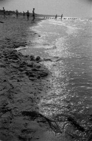Ostseeküste. Am Strand