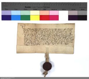Revers Wilhelms von Trohe bezüglich der Belehnung mit einer Hube Land in Reichelsheim und weiteren im Einzelnen aufgeführten Lehen durch Reinhard [von Weilnau], Abt von Fulda