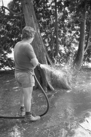 Hoher Wasserverbrauch im heißen Sommer 1983