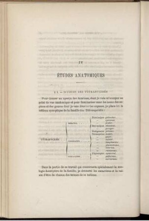 IV. Études Anatomiques