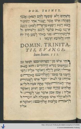 Domin. Trinitatis, Evangelium Ioann. III.