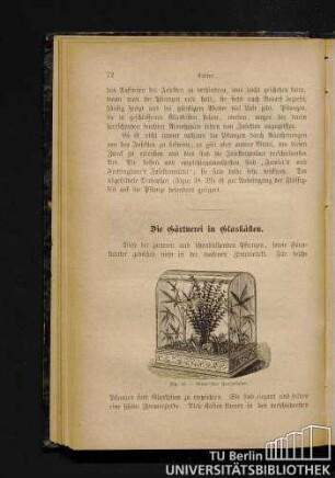 Die Gärtnerei in Glaskästen.