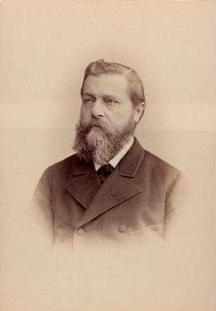 Die Mitglieder des Stadtrats der Residenzstadt Karlsruhe. Meess, Ludwig. Stadtrat 1881 - 1894