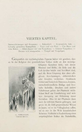 Viertes Kapitel. Naturerscheinungen und Gespenster. - ...