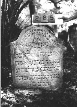 Grabstein 285 (Index: 99799855) Material: Sandstein Zustand: verwittert Maße HxBxT: 81x62x11 cm Beschreibung: Stele, Konvexbogenabschluß, Schriftfeld eingetieft Symbolik: Blüte: Grabstein 285