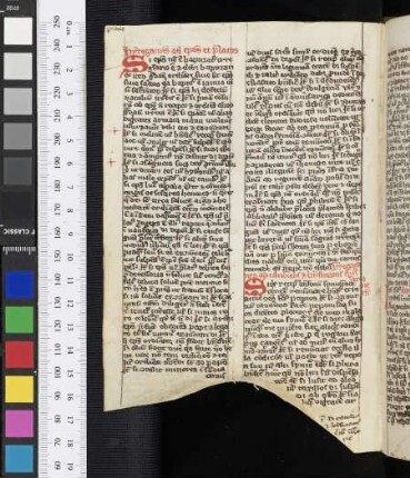 Interrogationes ad episcopos et praelatos