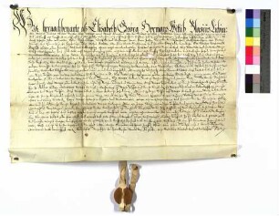 Schuldbrief von Elisabeth Hermann und Genossen gegen die Kommende Kapfenburg über 132 Gulden