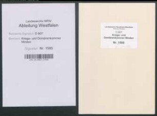 Reparatur der Brücken in der Stadt Petershagen