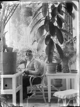 Wohnung der Familie Knochenhauer, Wintergarten? Fanny Knochenhauer in einem Korbstuhl sitzend, wohl bei Handarbeiten : Kattowitz, Friedensstraße 2. Wohnung der Familie Knochenhauer, Wintergarten? Fanny Knochenhauer in einem Korbstuhl sitzend, wohl bei Handarbeiten
