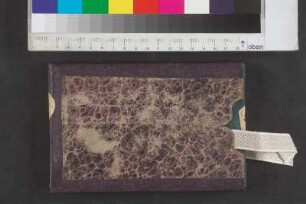 [Stammbuch Louise Hohlbein]