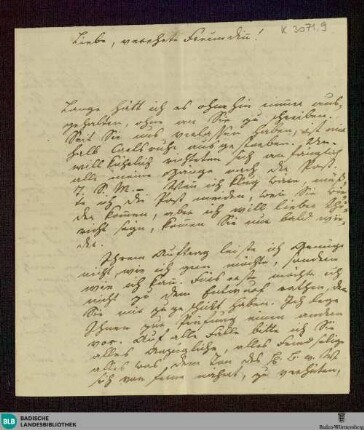 Brief von Johann Peter Hebel an Henriette Hendel-Schütz vom 08.11.1809 - K 3071, 9