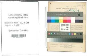 Entnazifizierung Caroline Schneider , geb. 29.07.1892 (Bankangestellte)