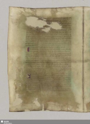 Obsessorum exploranda studia. Cap. VIII.