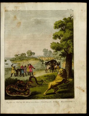 Taf. XIV. Aussicht von Joal auf der Küste von Guinea. Vorstellung des ...
