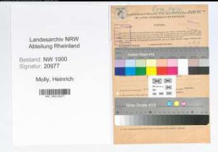 Entnazifizierung Heinrich Molly, geb. 06.01.1907 (Reichsbahnwerkmeister)