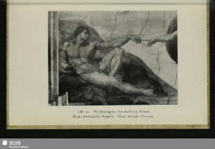 Michelangelo, Erschaffung Adams