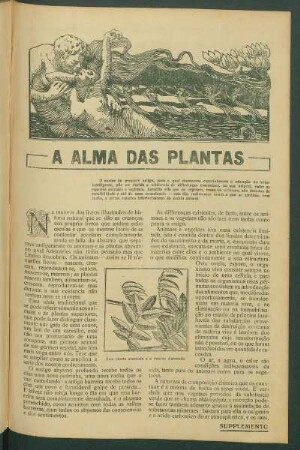 A alma das plantas