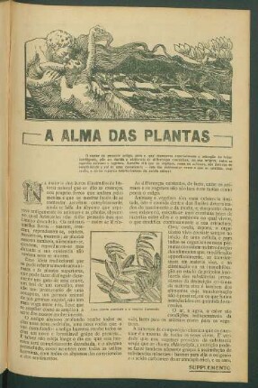 A alma das plantas