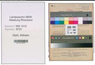 Entnazifizierung Wilhelm Diehl , geb. 14.11.1897 (Polier)