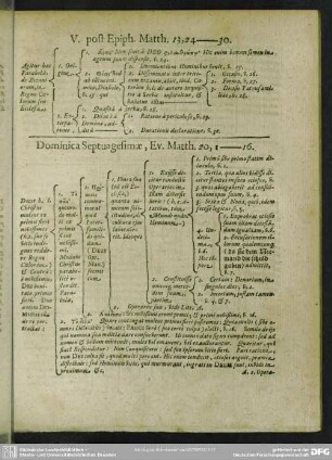 Dominica Septuagesimae