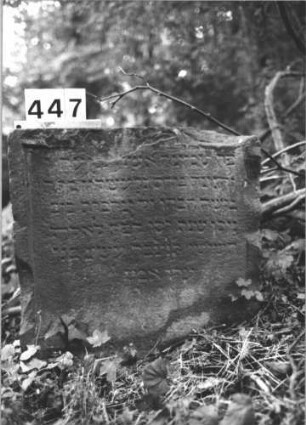 Grabstein 447 (Index: 100113547) Material: Sandstein Maße HxBxT: 68x69x15 cm Besonderheit: kulturhistorisch wertvoll / hist.-wiss. Gründe (Alter): Grabstein 447