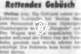 Rettendes Gebüsch