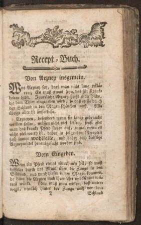 Rezept-Buch