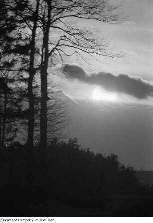 Sonne hinter Wolken, im Vordergrund Bäume