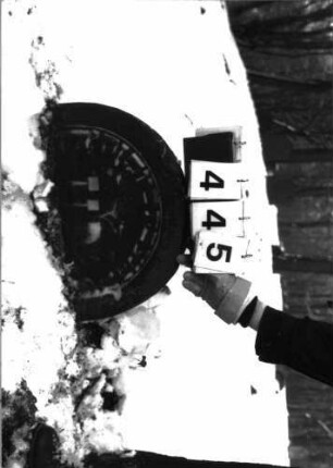 Grabstein 445 eingesunken: Grabstein 445