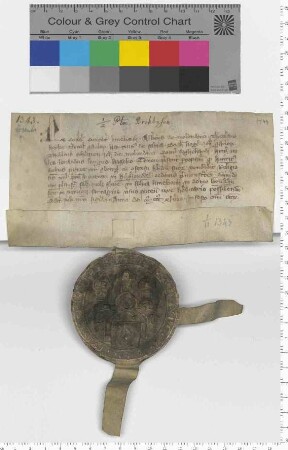 Elf Ratsmannen bekunden den Verkauf 1/2 Fuders Salz aus Brochusen [Sülzhaus] an Heiligenthal. [lat]