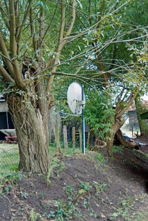 Sühlen: Zur Trave 16: Fachwerkkate mit Reetdach: Grundstück: Knick mit alten Weidenbäumen, Zaun: hinten Schuppen: August 1994