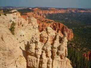 Sandsteinfelsen im Bryce Canyon Nationalpark : Von zahlreichen Aussichtspunkten können Besucher im Bryce Canyon Nationalpark die unterschiedlichen Sandsteinformationen und Felsnadeln, so genannte "Hoodoos", betrachten. Aufgenommen am 18. August 2012