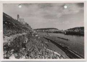 Rüdesheim am Rhein, Burgruine Ehrenfels