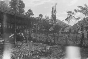Tabak Trocknung (Lateinamerika-Aufenthalte 1934/1942 - 2. Kolumbien 1934-1937)