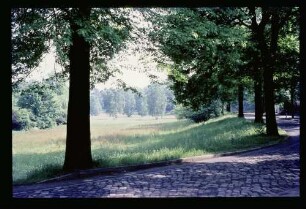 Rehwiese 1.6.69.