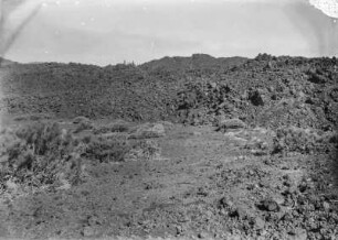 Lavastrom : Ein Lavastrom mit umgebender Vegetation