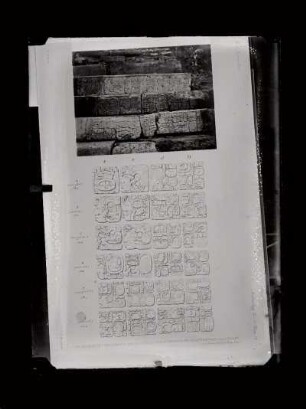 The Palace, House C. - Photograph of the inscribed stairway & drawing of the inscription from a plaster cast. : Archaeology, Vol. IV., Plate 23.