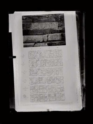 The Palace, House C. - Photograph of the inscribed stairway & drawing of the inscription from a plaster cast. : Archaeology, Vol. IV., Plate 23.