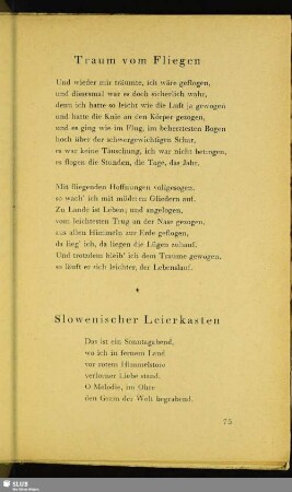 Traum vom Fliegen