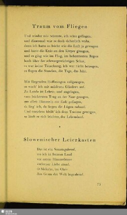 Traum vom Fliegen