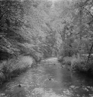 Seifersdorfer Tal