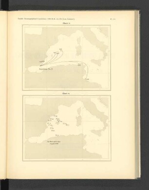 Chart 5. Chart 6.