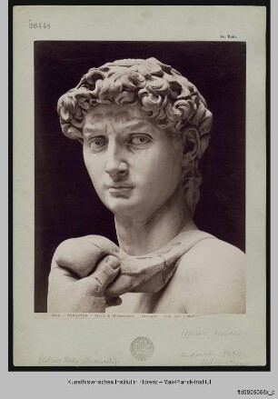 David