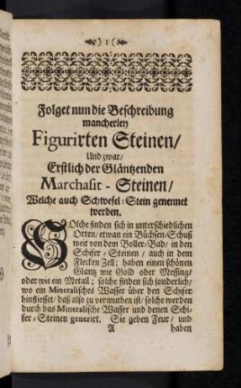 1-14, Folget nun die Beschreibung mancherley Figurirten Steinen ... (Marchasit-Steinen, Porcellan-Stein, ..., ...)