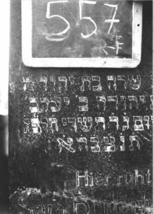 Grabstein 557 (Index: 100111502) Material: Granit Zustand: quer gebrochen und repariert, sonst gut Maße HxBxT: 196x58x28 cm Beschreibung: Obelisk, getreppter Sockel Symbolik: Palmzweig Steinmetz: W. Hirth: Grabstein 557R-F (?)