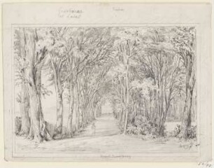 Promenade De Montmorency, Bourbonne-les-Bains