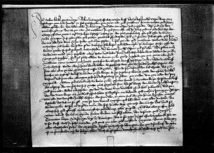Barbara Kemmlerin von Gomaringen reversiert Kaspar Remp von Pfullingen für das Erblehen der untern Mühle zu Gomaringen.