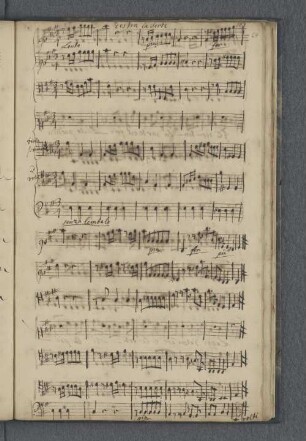 [Anonymus - Il destin la sorte e il fato - S, orch, bc]