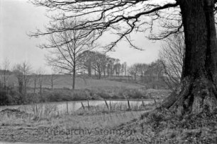 Teich mit Zaun: rechts Baum: im Hintergrund Knicklandschaft