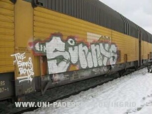 "Sunnys